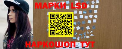 прущие грибы Можга