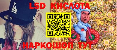 прущие грибы Можга