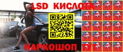 прущие грибы Можга