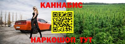 прущие грибы Можга